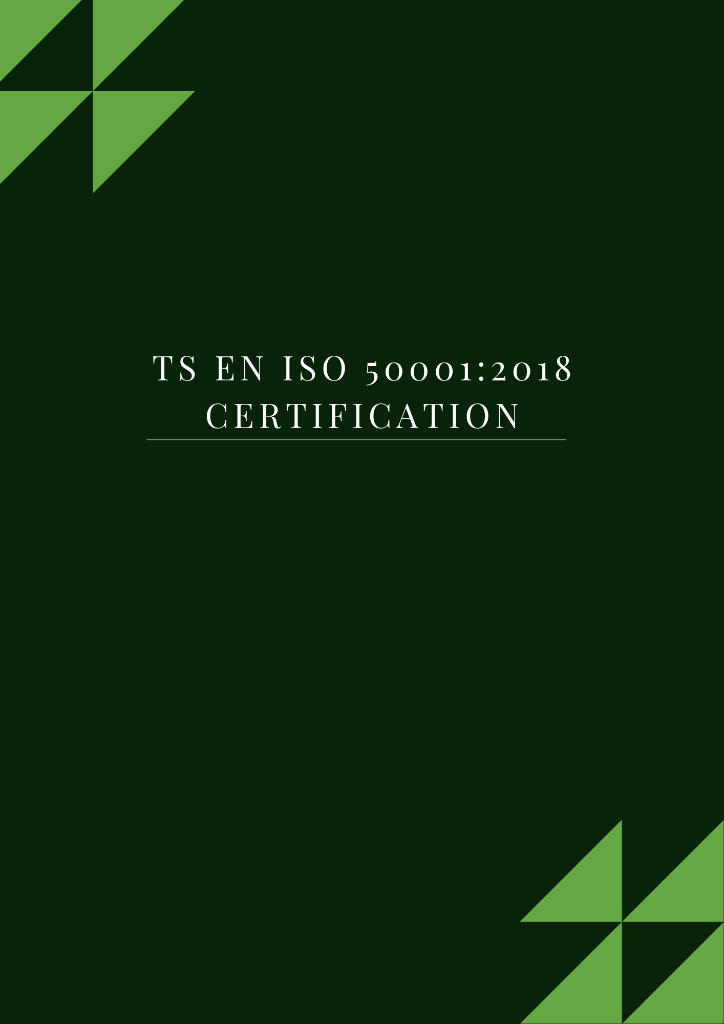 TS EN ISO 50001:2018 Certification